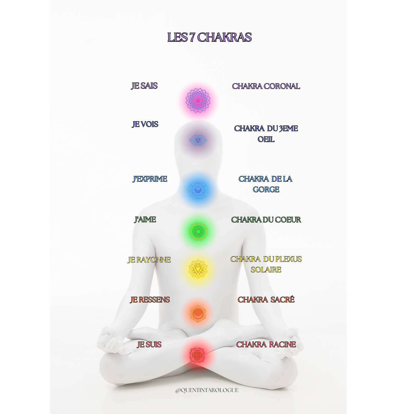 LES 7 CHAKRAS